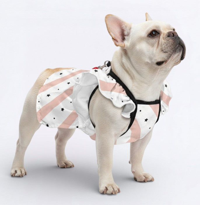 High-Quality Zara - French Bulldog Dresses For Females for Everyday Wear