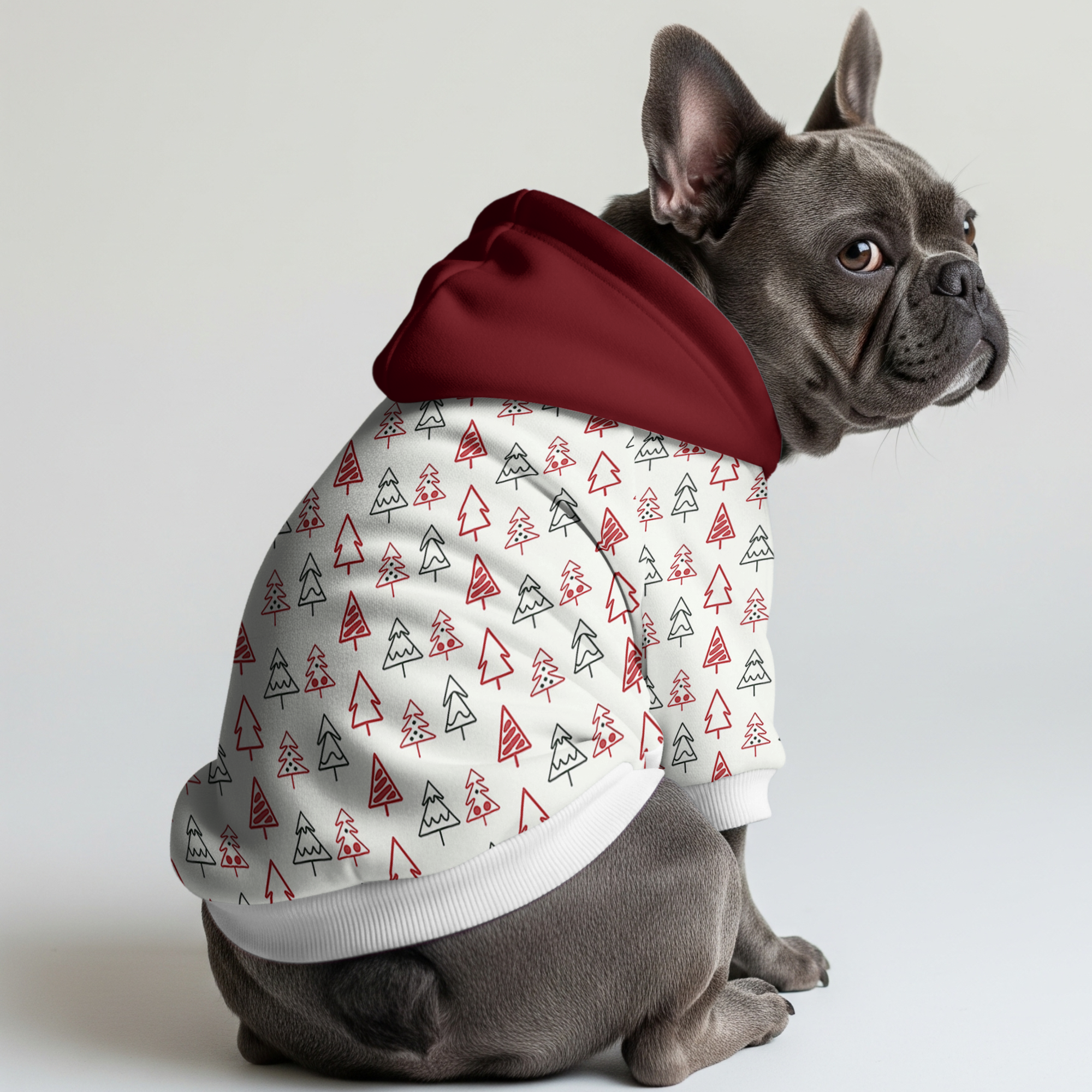 Rocky - Frenchie hoodie