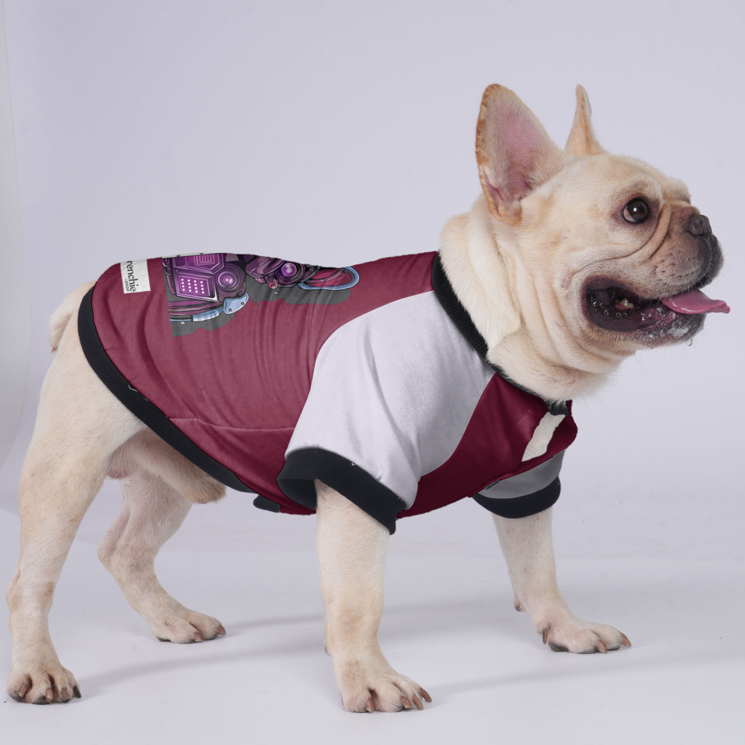 Stylish Frenchie-Fan Lily - Jacket For French Bulldog for Fashion Lovers