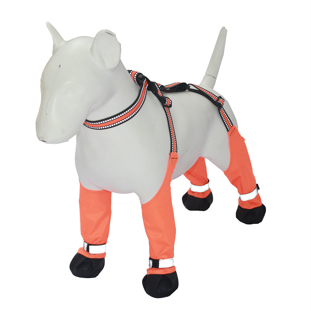 Shoes Claw Protector Waterproof For Frenchie Pups | Durable Build