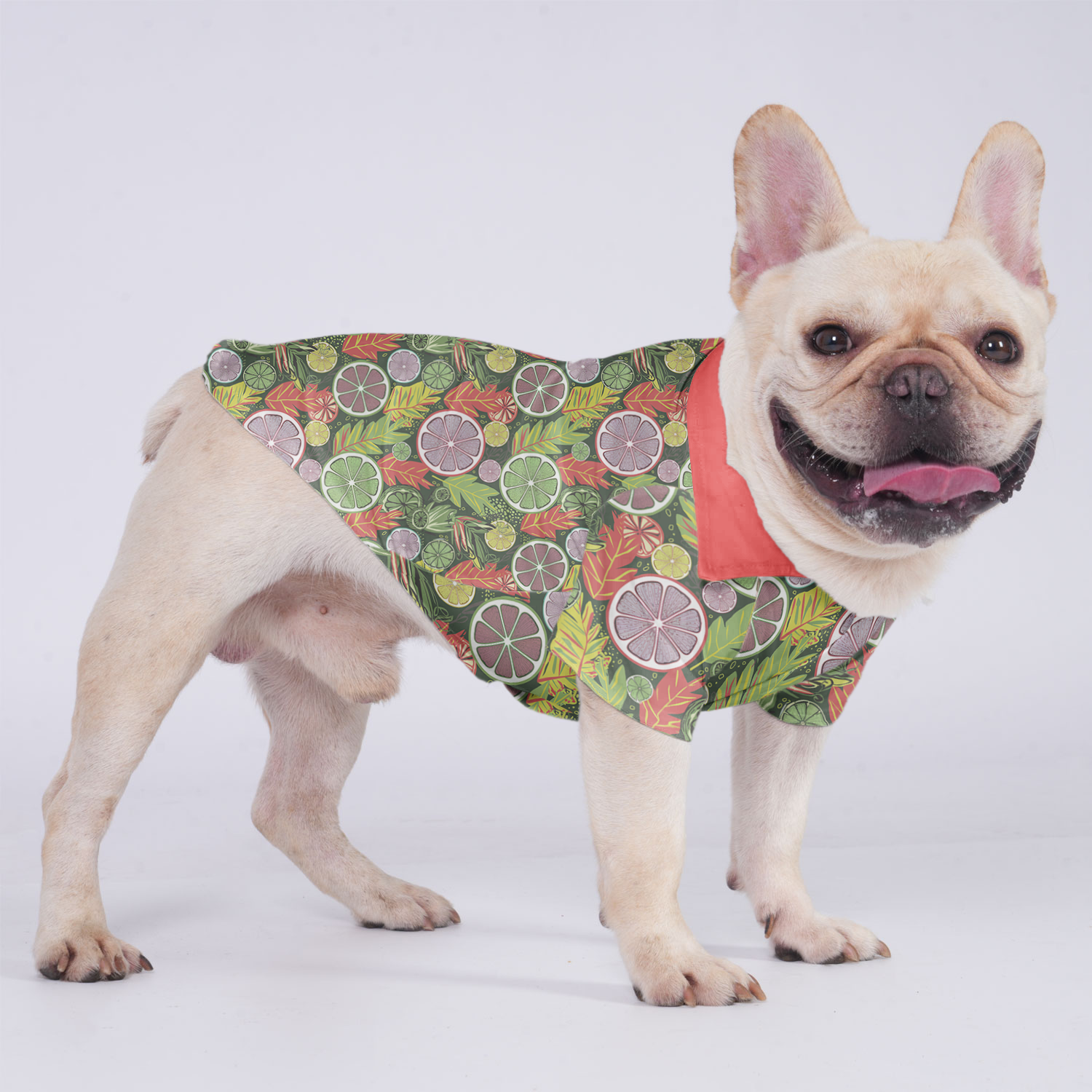 French Bulldog Loki Hawaiian Shirt For Frenchies Comfy Pet Product