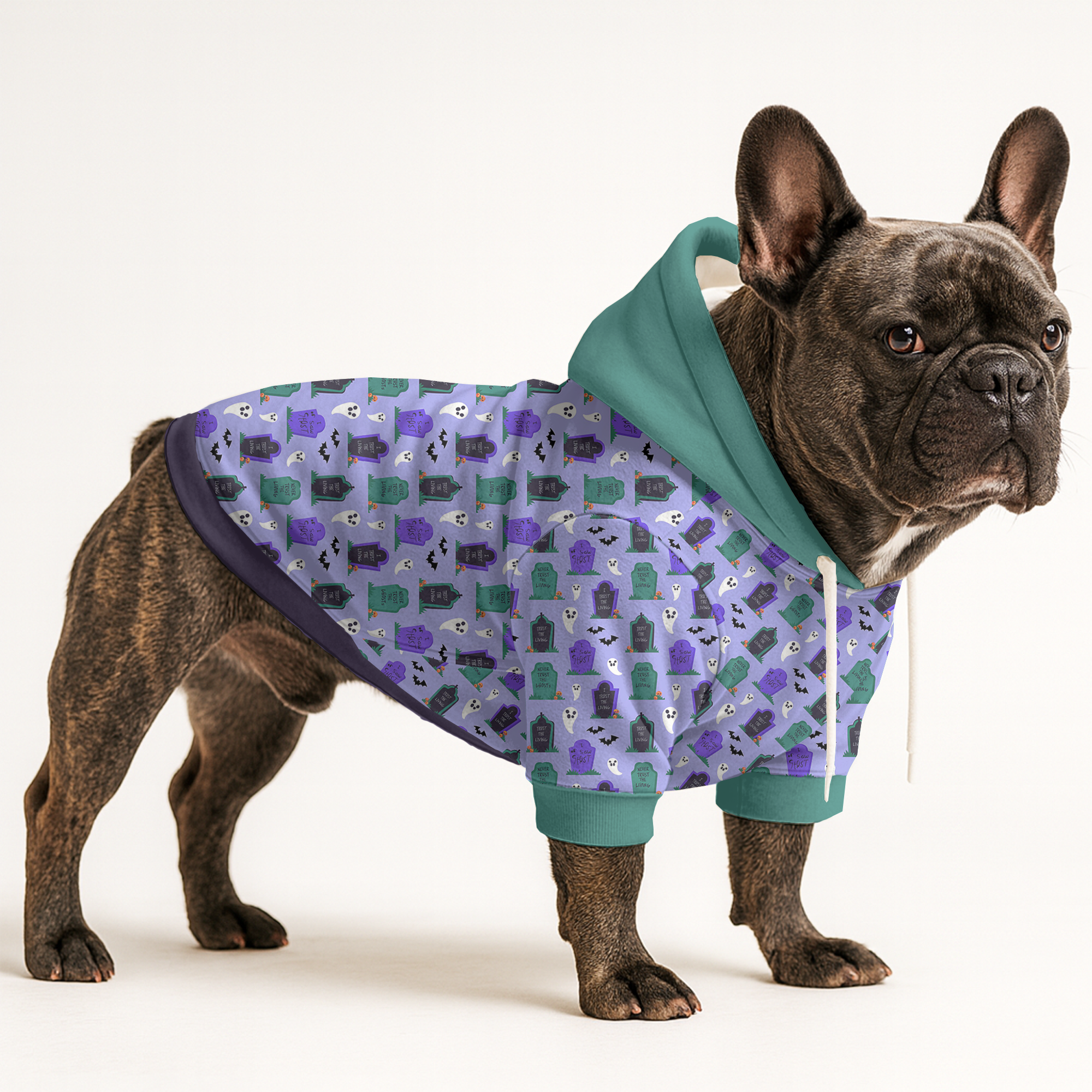 Street-Ready Everyday Durable Ginger - Frenchie Hoodie as a Gift