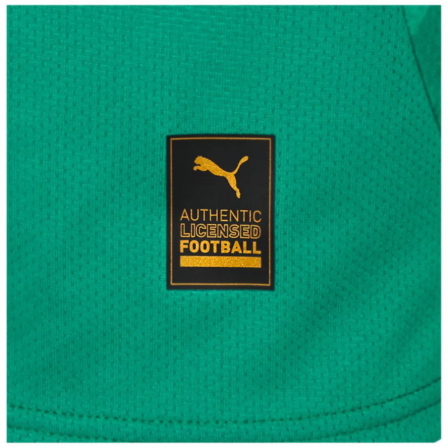 Plymouth Argyle official style Home Shirt 2024-2025 (Unisex