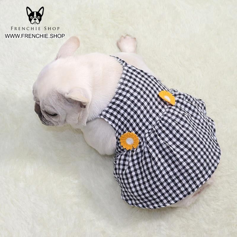 Trendy Skirt Frenchie Summer Dress (W313)