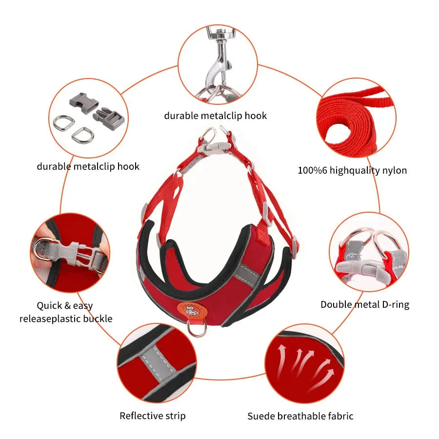 Leash Set – Adjustable Soft Vest No-pull Summer Wear | Safe For Paws