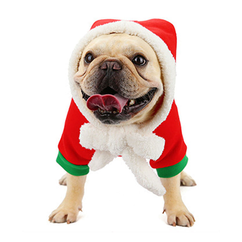 Cozy French Bulldog Christmas Costumes Spread Joy With Festive Fashio...