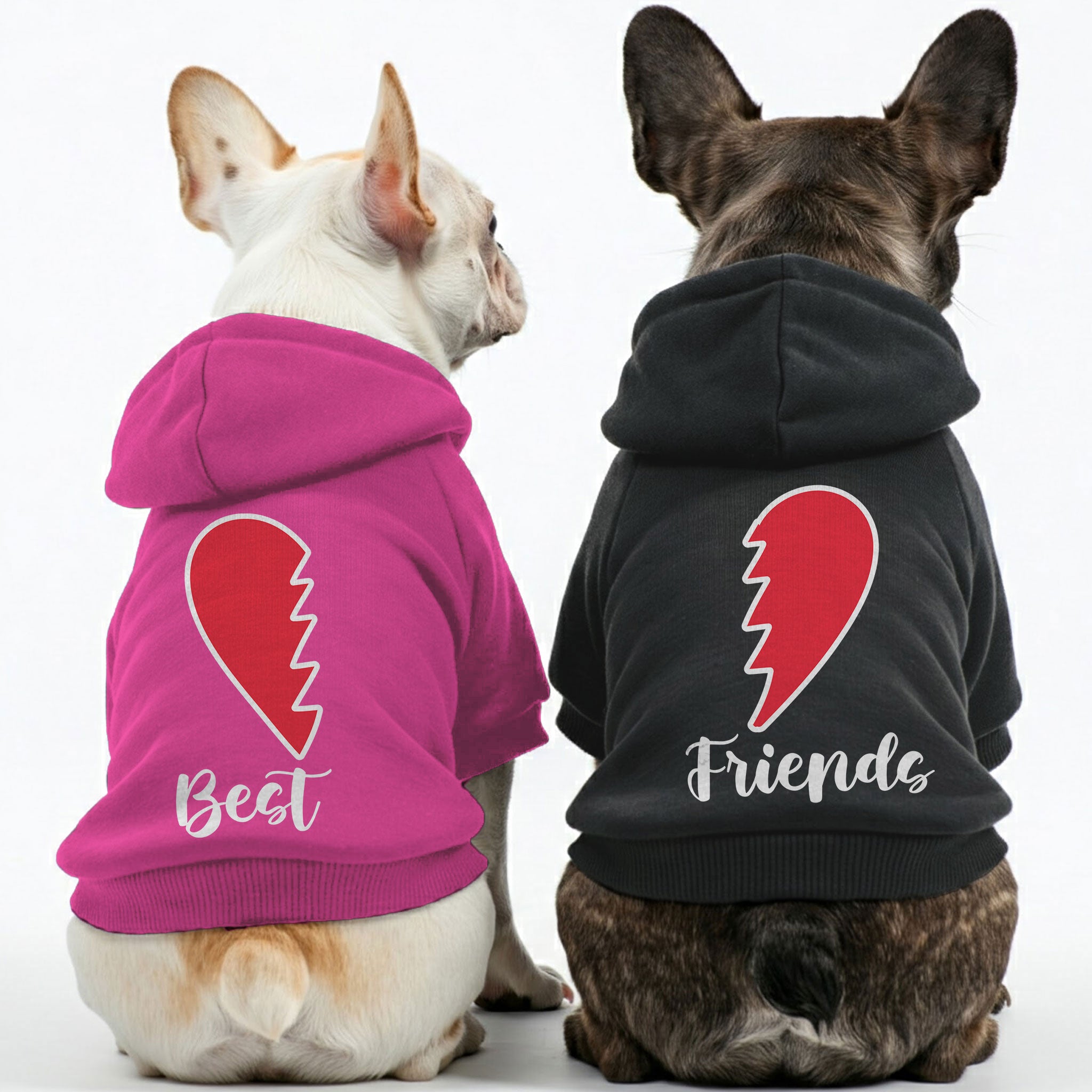 Stylish Best Friends - Matching French Bulldog Hoodies – Stylish, Coz...