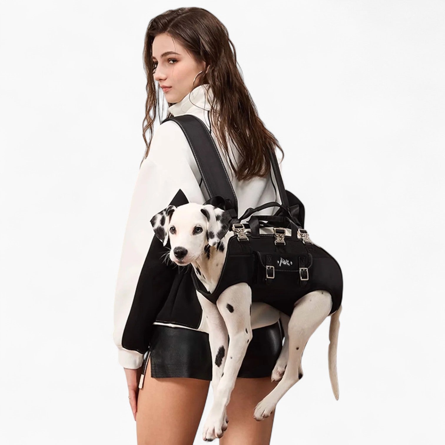 – Carrier For Small And Big Dogs For French Bulldogs | Safe For Paws