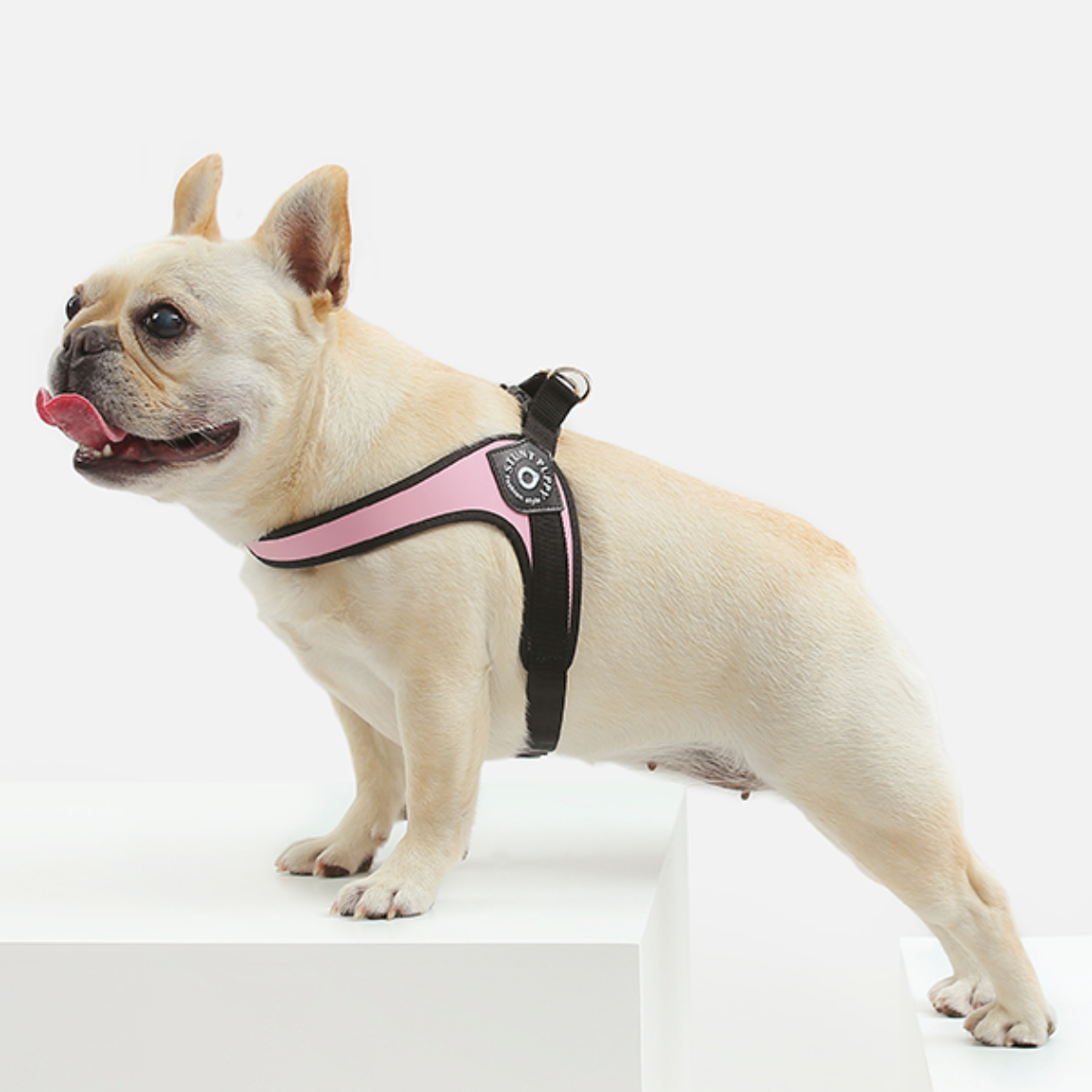 No Pull French Bulldog Harness (ws601) Summer Wear | Non-slip Design