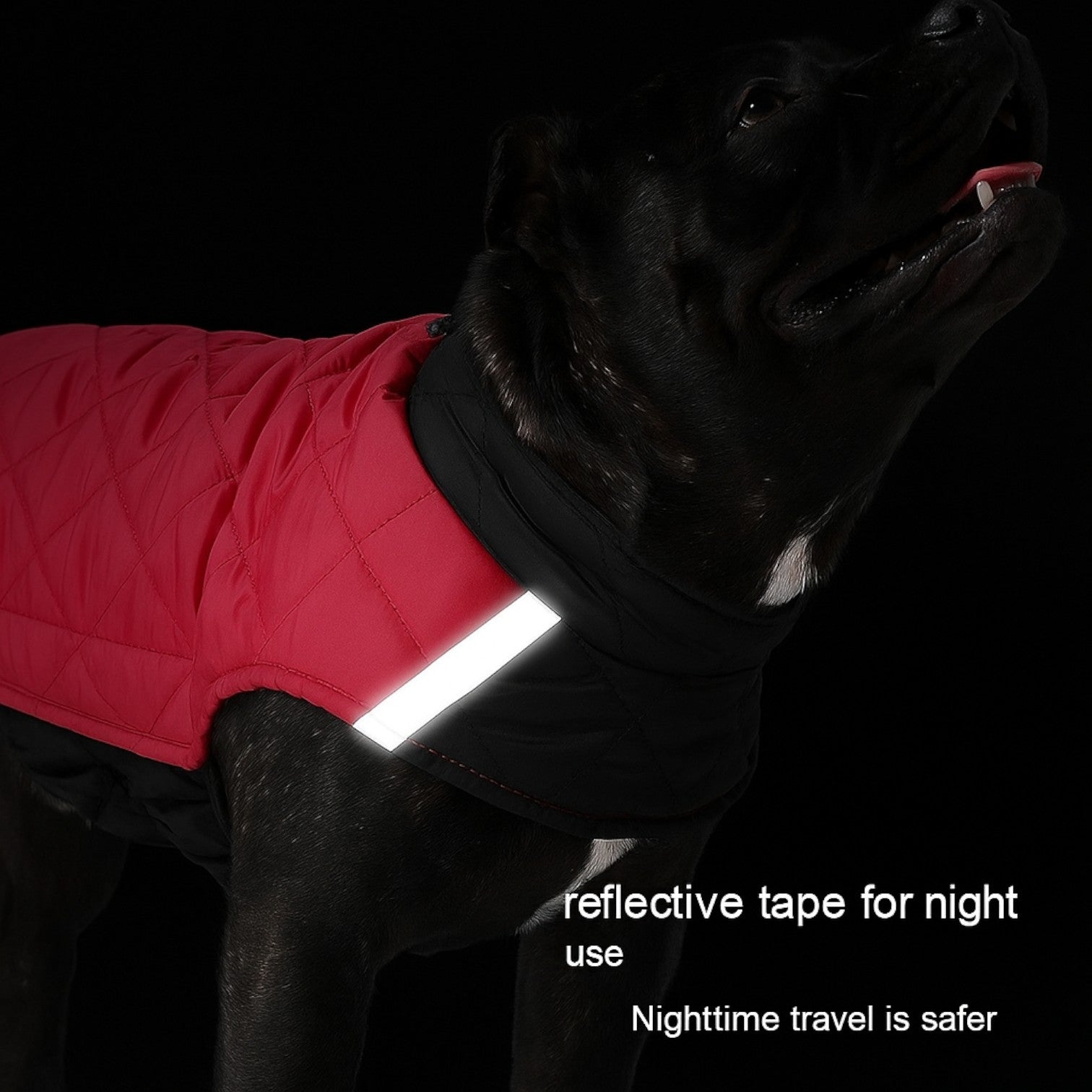 French Bulldog Pawventura™ French Bulldog Winter Jacket — Reversible