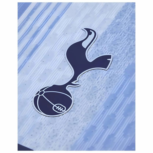 2024-2025 Tottenham Hotspur Authentic Away Kit (Richarlison 9)