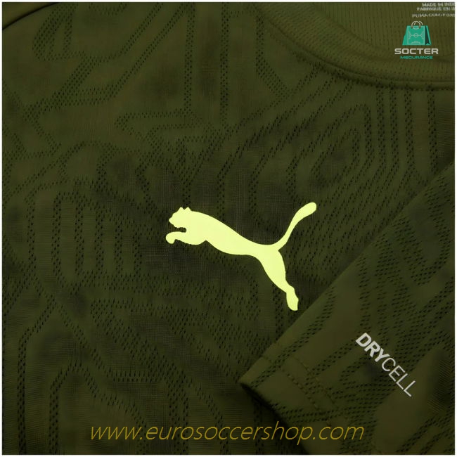 2024-2025 Borussia Dortmund Training Shirt (Myrtle)