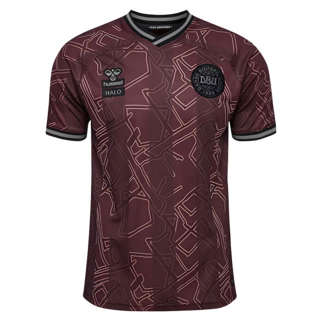 Denmark Stylish Jersey 2024-2025