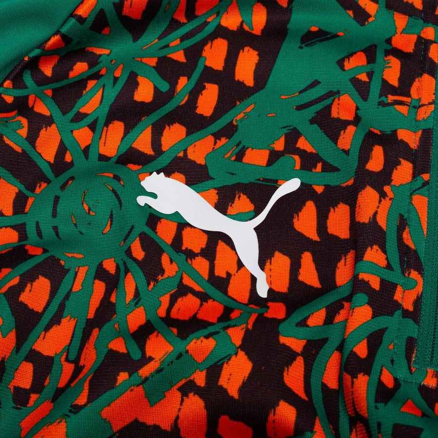 Ivory Coast Training Shirt Pre Match 1/4 Zip World Cup 2026 - Sport Green/Brown