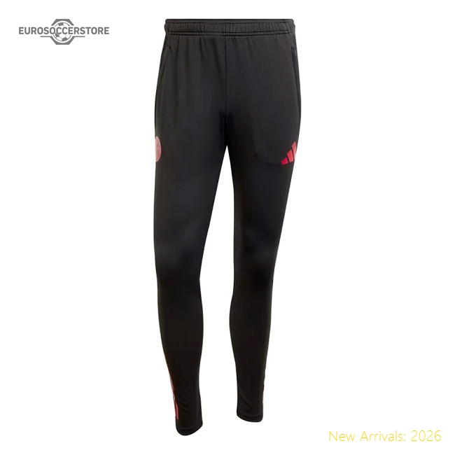 2025-2026 Bayern Munchen Eu Training Pants (Black) Match Replica