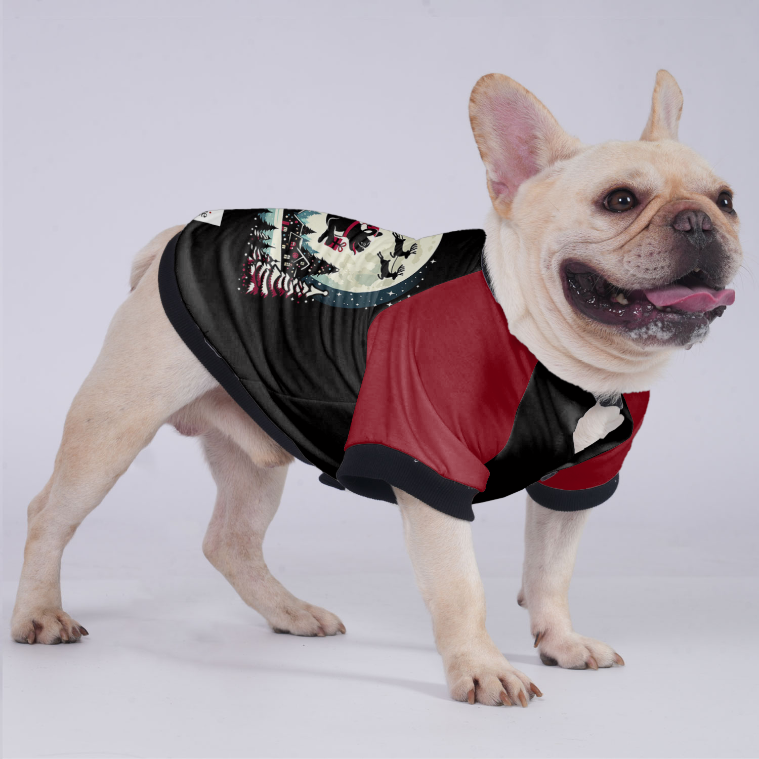 Lifestyle-Driven Molly - Jacket For French Bulldog for Pet Enthusiasts