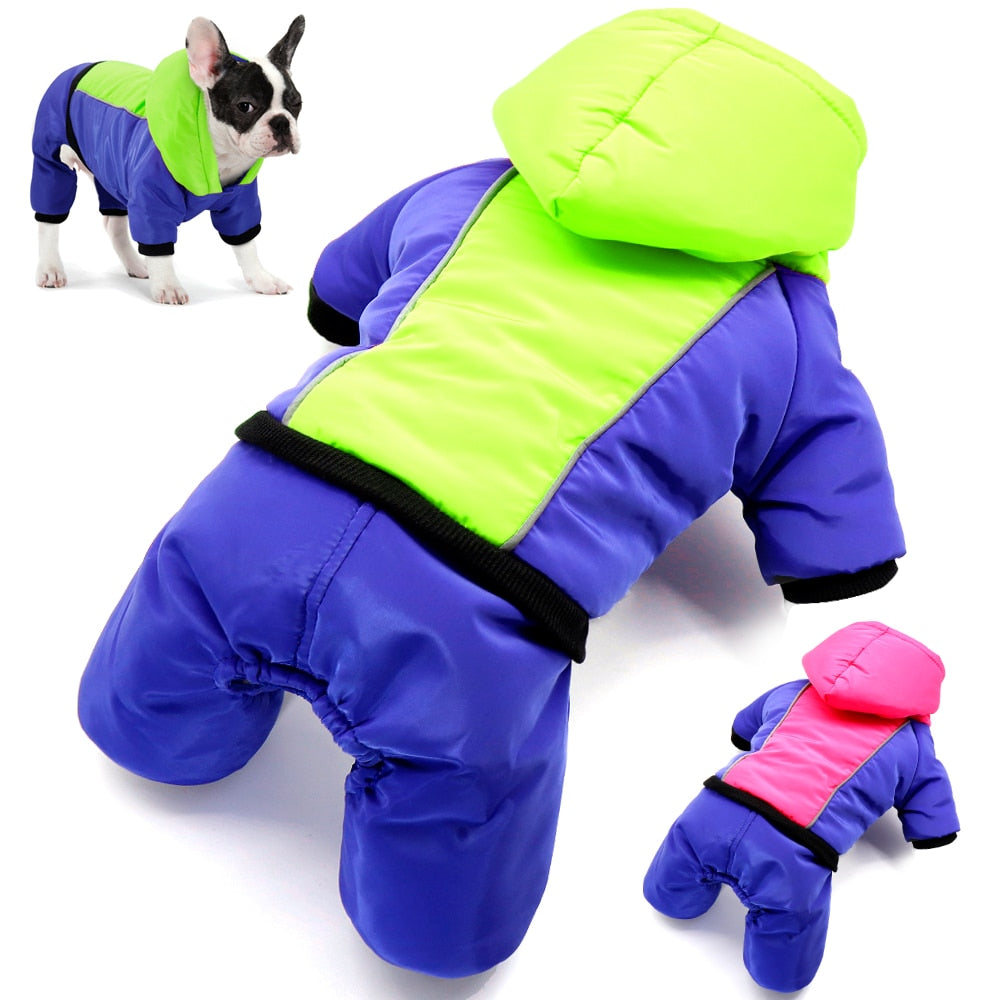 French Bulldog Luna Jacket For French Bulldog (ws308) Comfy Pet Outfit