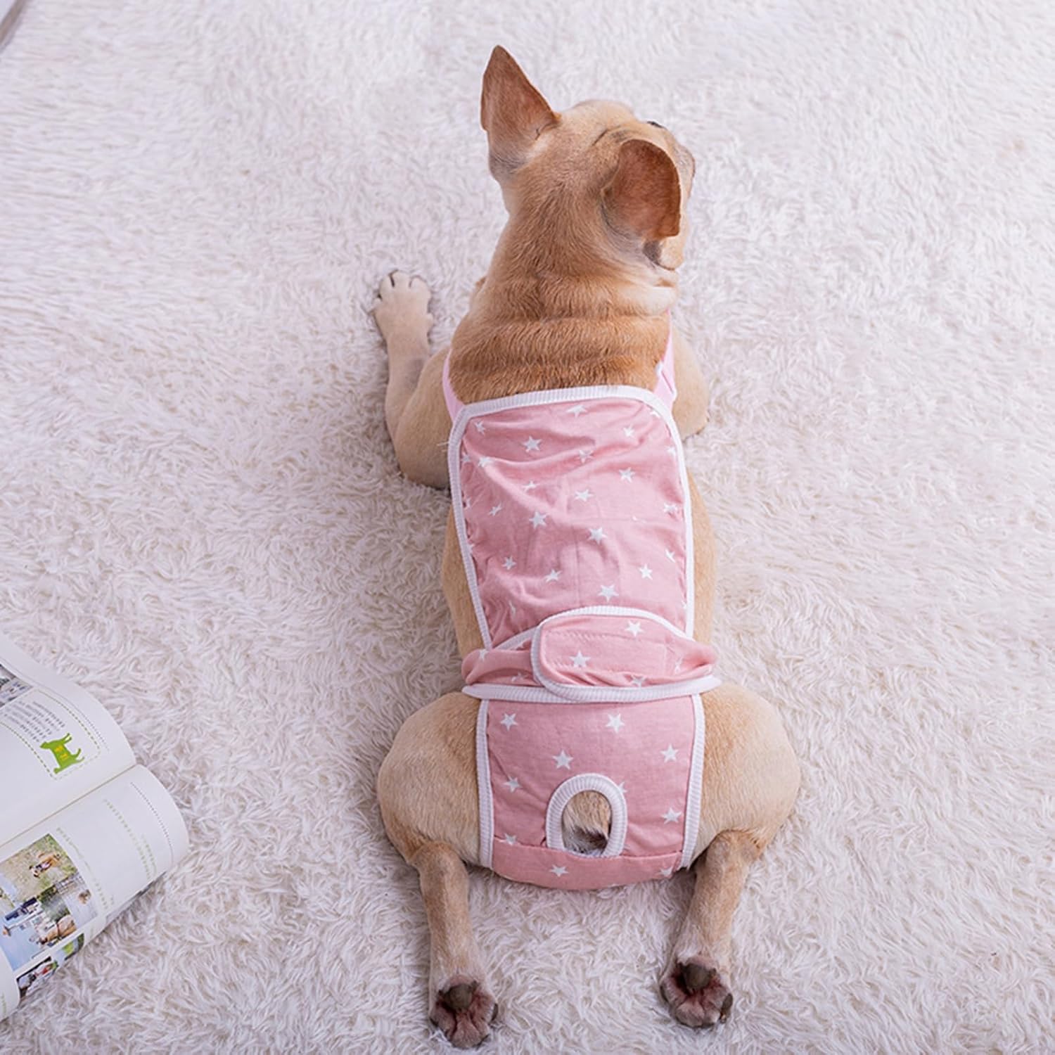 Premium French Bulldog Shorts Diaper Pants Fashionable And Functional...