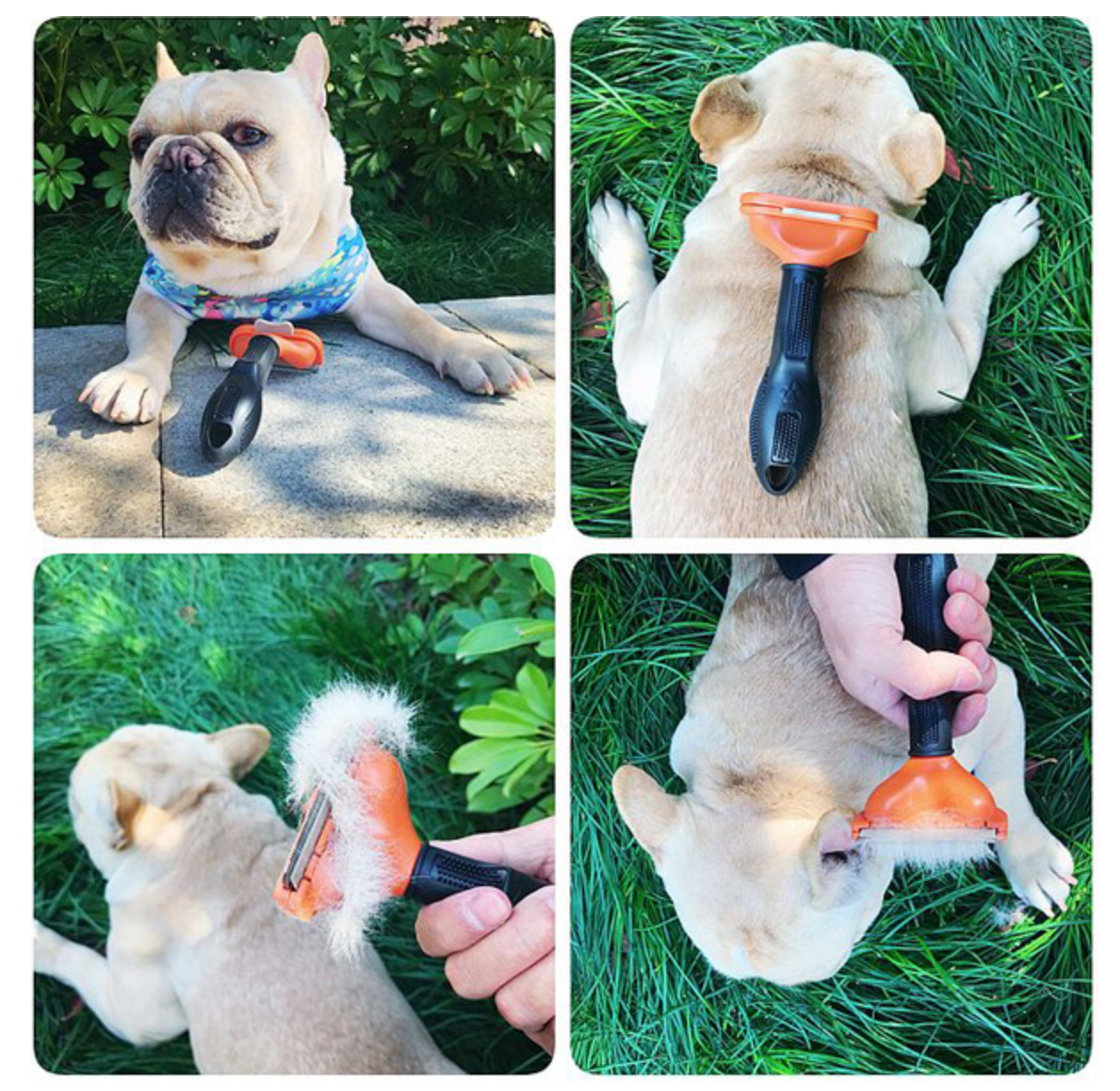 Combify TM - Frenchie Comb (CS01)