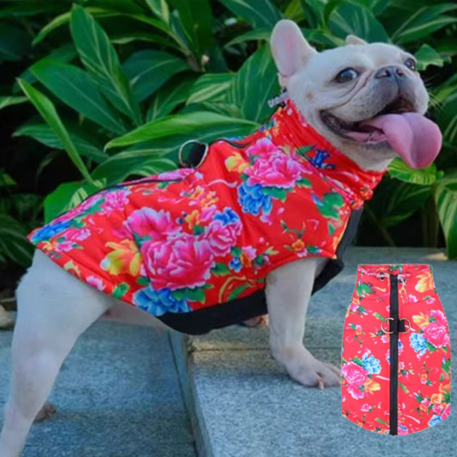 PupTrend Premium Frenchie Jacket
