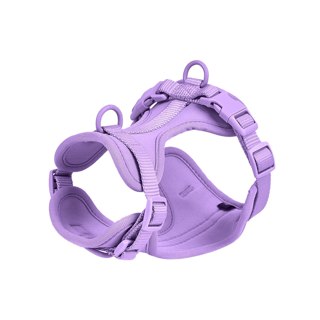 Puppy-Safe Durable Frenchie Quick Release Harness Leash Set for Playtime