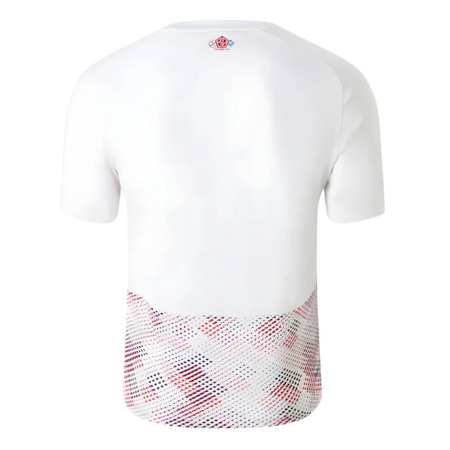Lille Performance Away Jersey 2024-2025