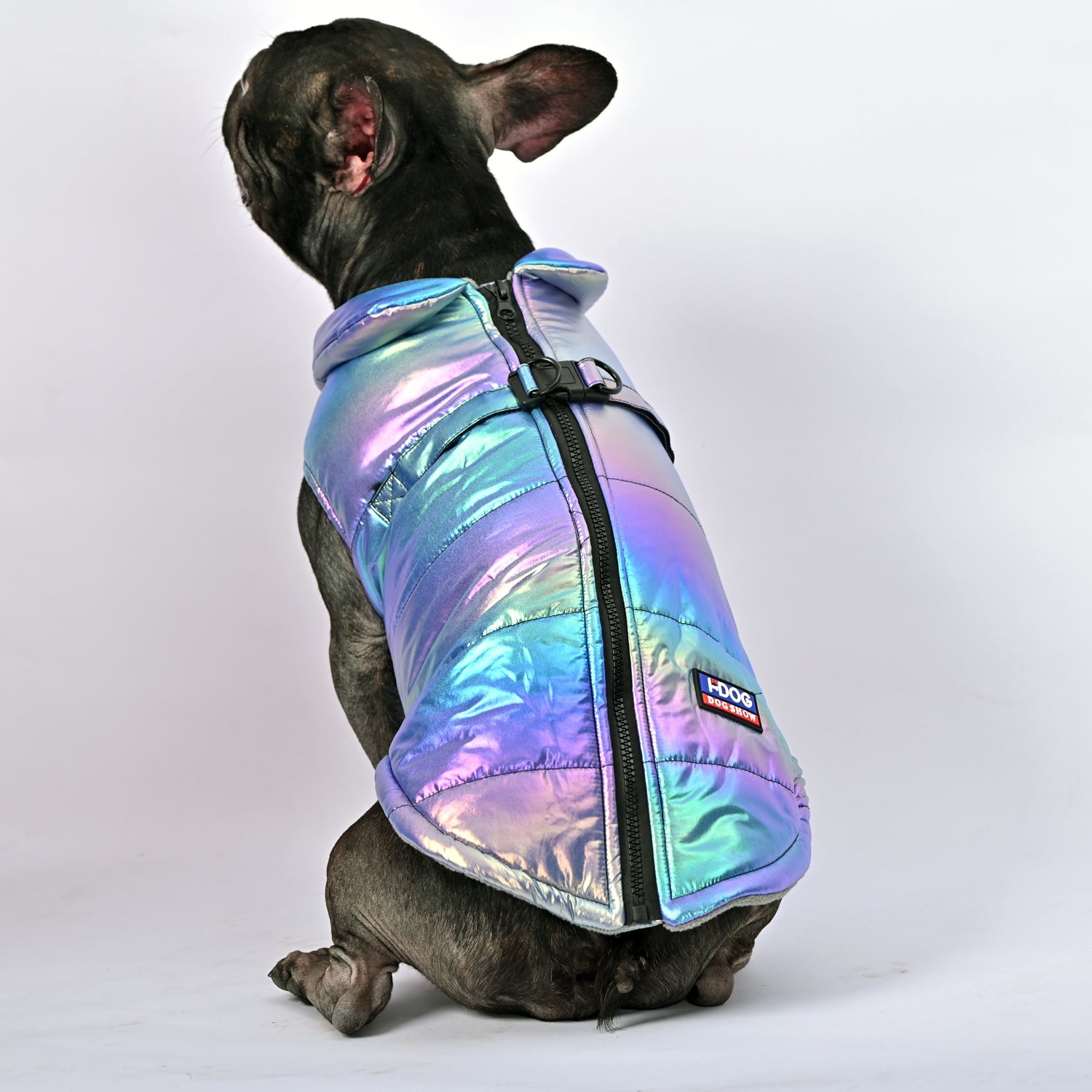 Bulldog Shield Frenchie Reflective Winter Warm Jacket V1 Paw Protection