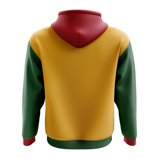 Lithuania Concept Country Football Hoody (Yellow) Worldcup