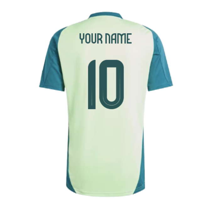 Mexico Training 20242025 Training Shirt  Pro Breathable