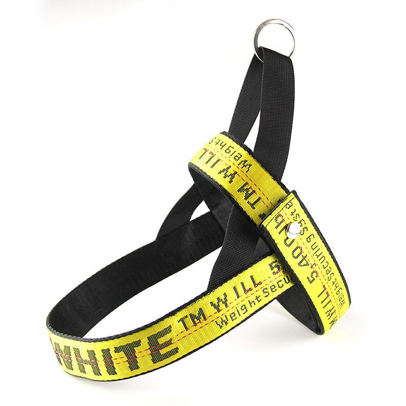 Breed-specific Leash & Harness Set For French Bulldog (ws311) Indoor Use