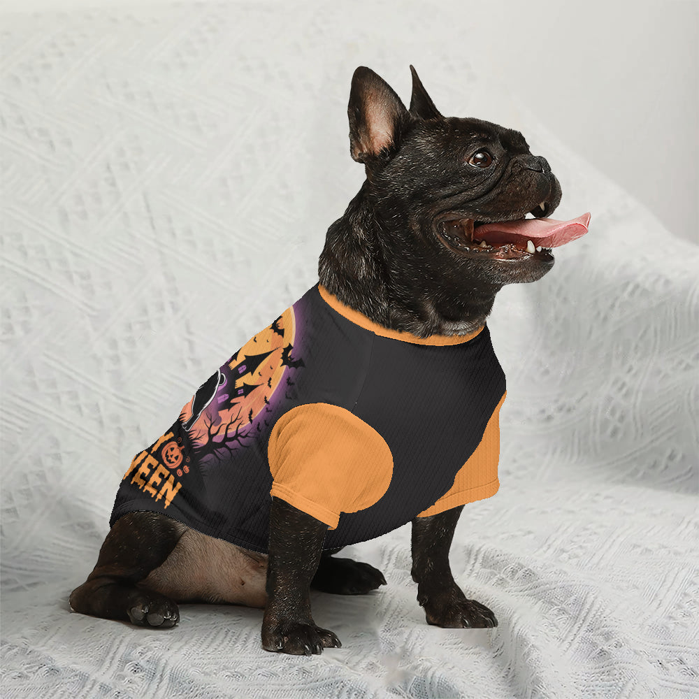 French Bulldog Sheila Wool Sweater For Frenchies Cozy Pet Winter Wear