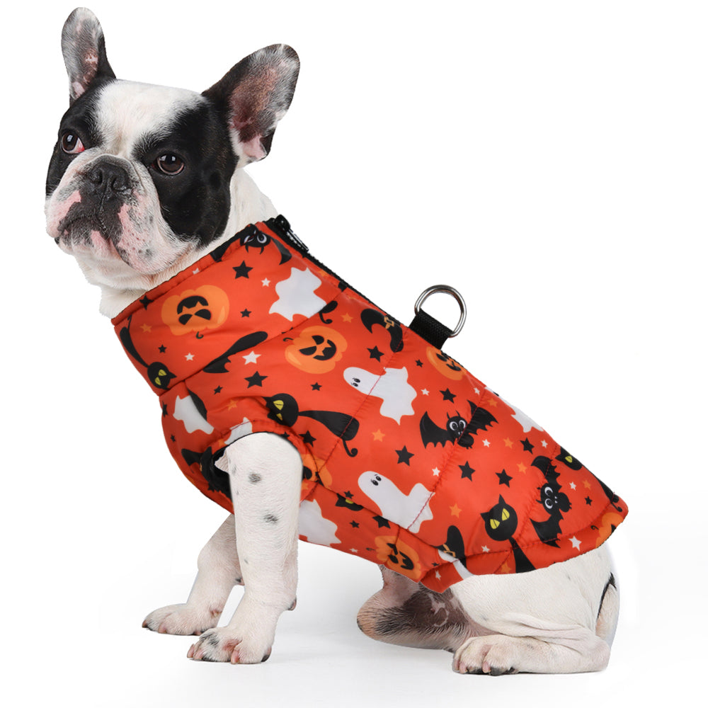 Frenchie Halloween Winter Jacket with Pumpkin Print Cozy and Festive