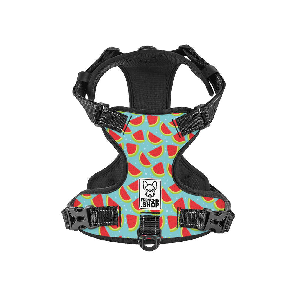 Louis - No-Pull French Bulldog Dog Harness
