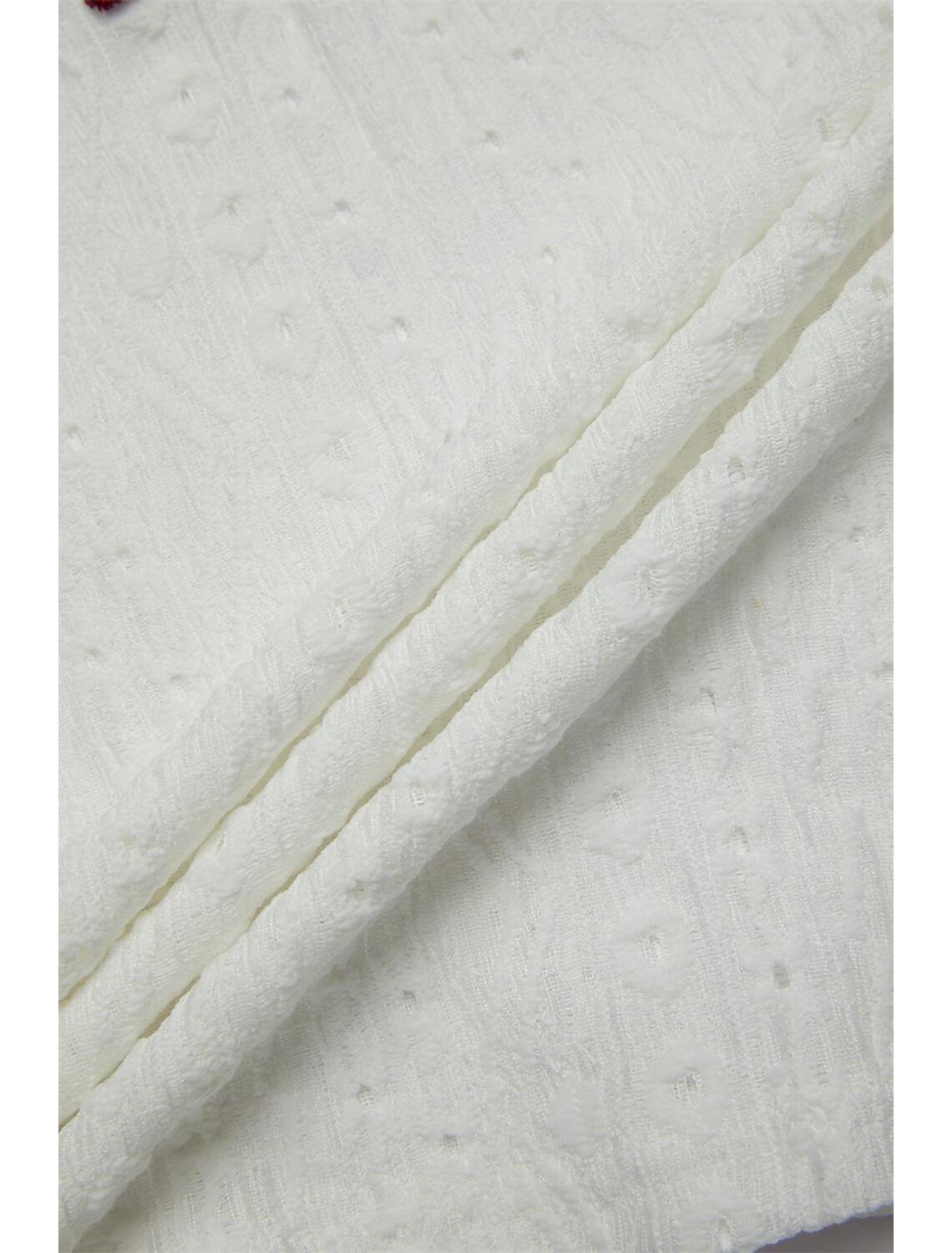 Women's Elegant Lace Tops Eyelet Blouse Floral Embroidery V-Neck Half Sleeve Summer Casual Outdoor Everyday Wear Romantic Petite Tops Summer Holiday Wear