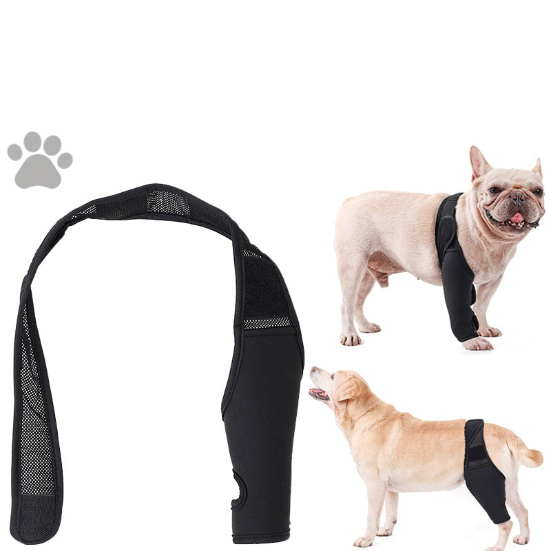 Trendy French Bulldog Front Leg Knee Pads Support Brace (wk02) for Fa...