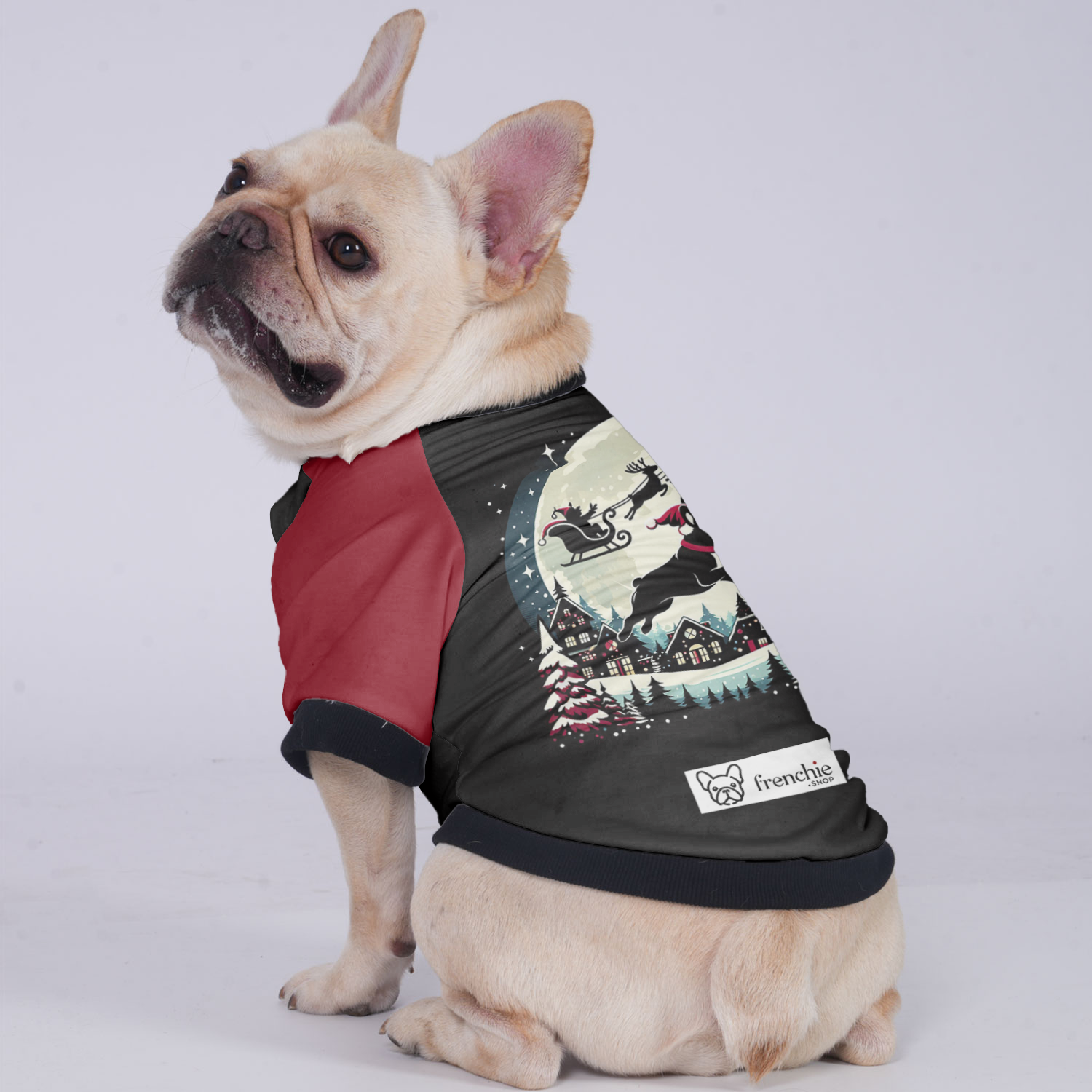 Lifestyle-Driven Molly - Jacket For French Bulldog for Pet Enthusiasts