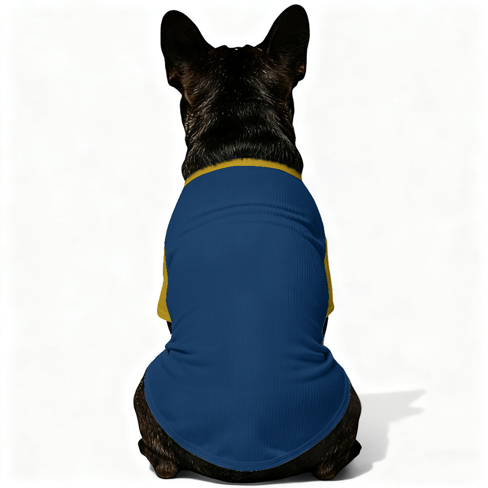 French Bulldog Mazie Wool Sweater For Frenchies Warm Cold Weather Gear