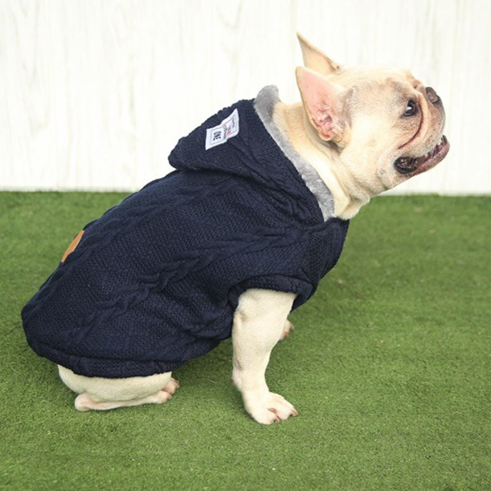 Premium Pet-Lover Warm Sweater For French Bulldog (cs10) for Home Use
