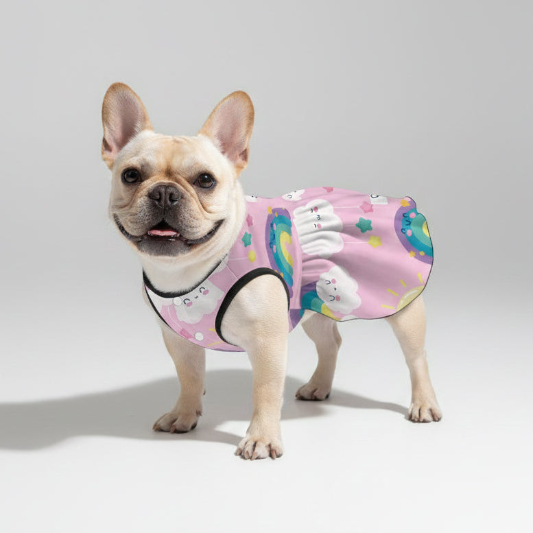 Street-Ready Mia - French Bulldog Dresses For Females for French Stylish