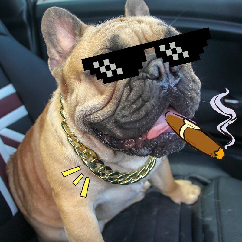 French Bulldog Glambull Frenchie Gold Necklace – Stylish Plastic