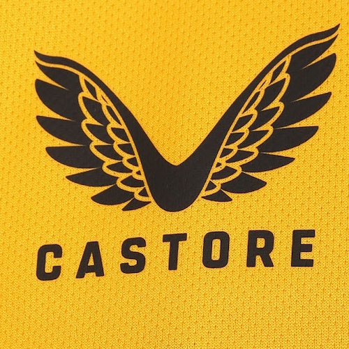 [LK] Castore Wolves Kits Released Leaked 21 22 Home Goalkeeper Away Training Kit & +