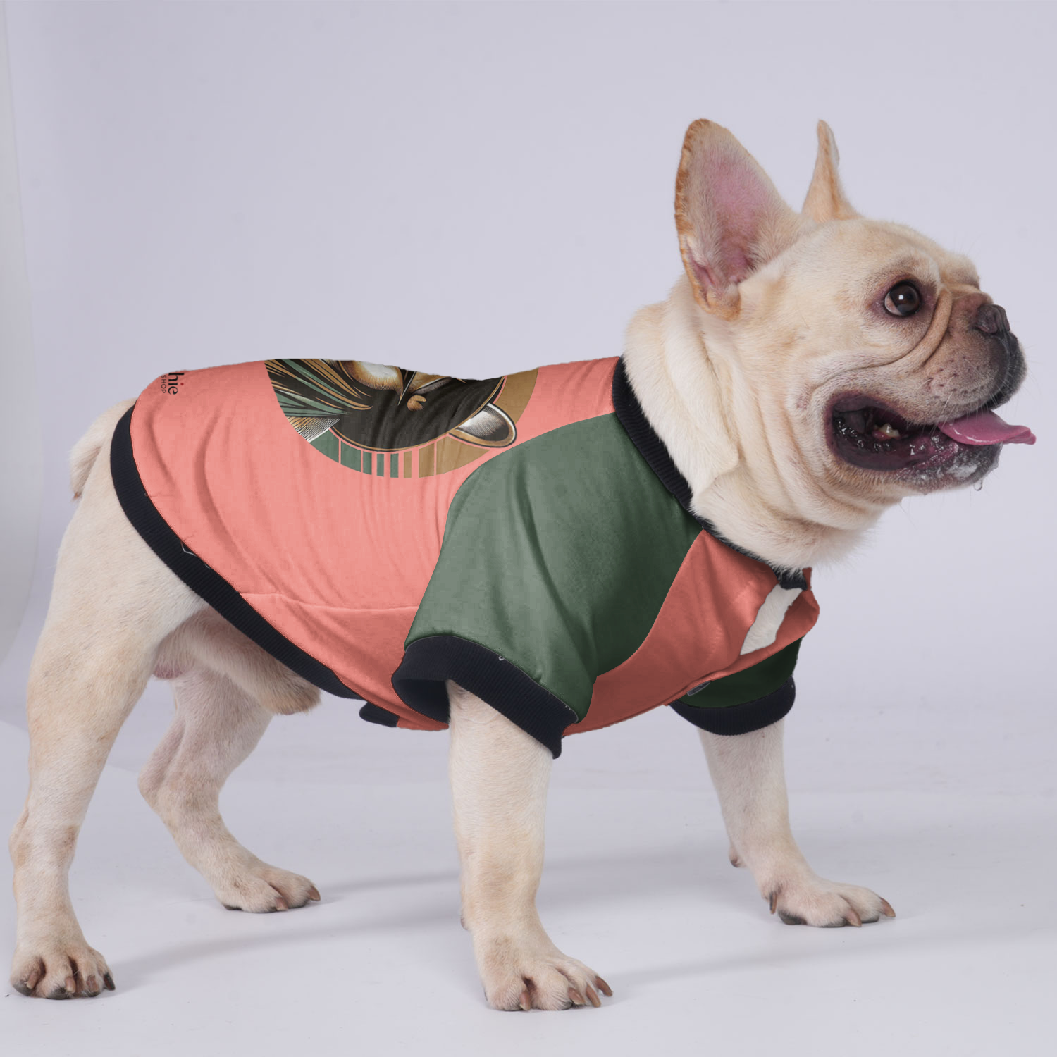 French Bulldog Lucy Jacket For French Bulldog Comfy Pet Outfit
