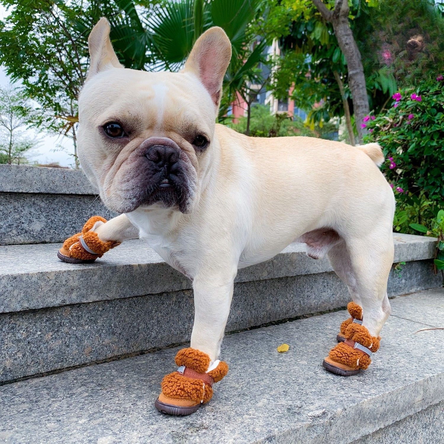 French Bulldog Velvipaw Teddy Velvet Frenchie Shoes – Warm And Cozy Dog