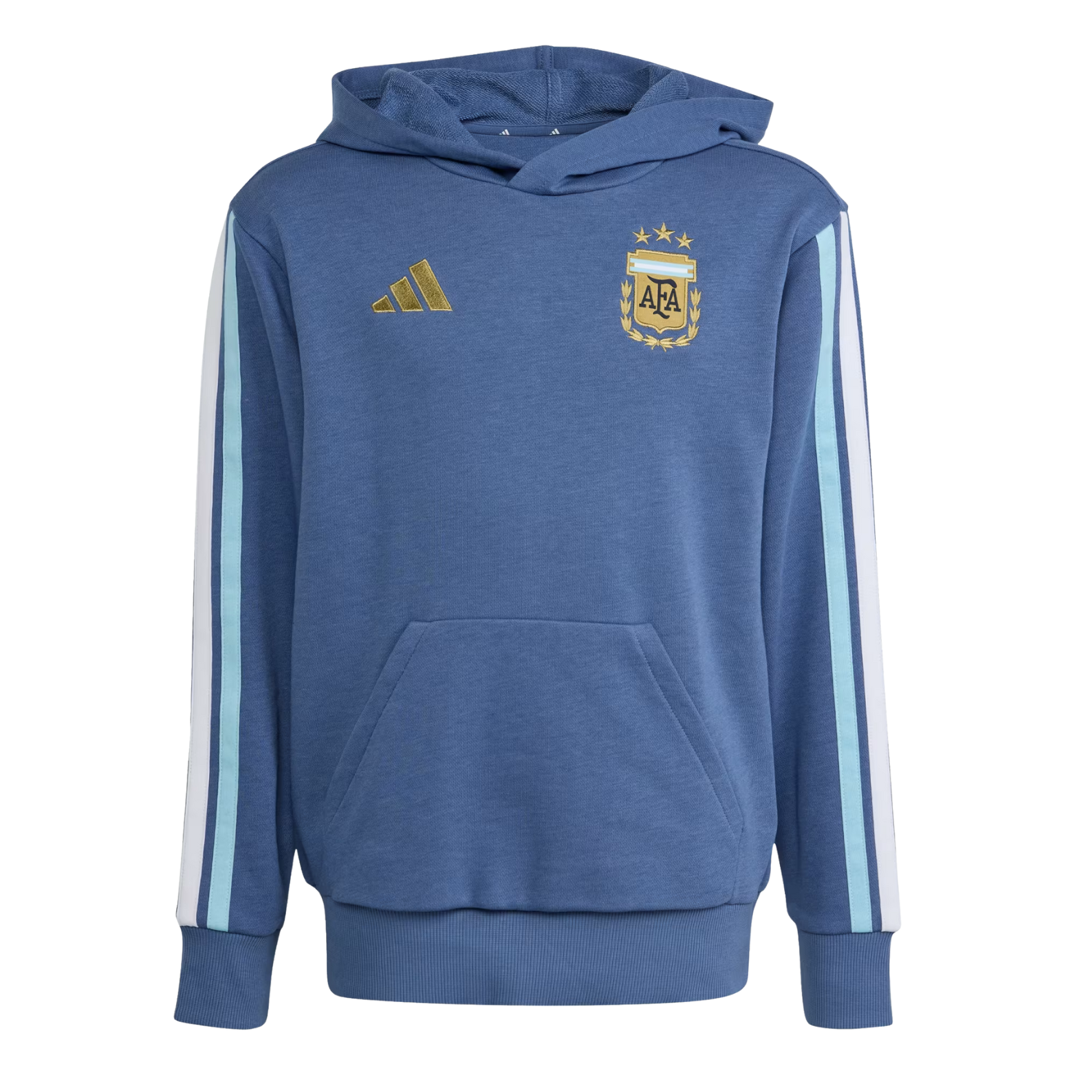 Argentina National Team 2026-2027 Season Third Hoodie –  Collector Edition XS