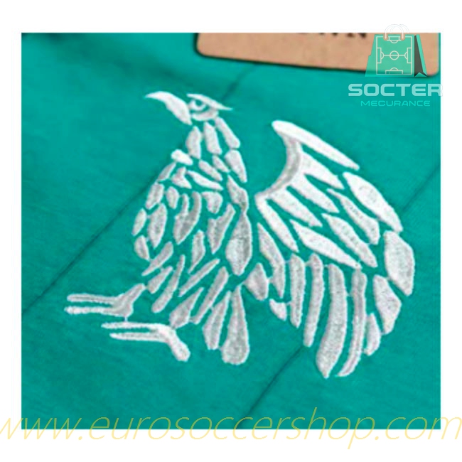 Mexico World Cup Home Jersey