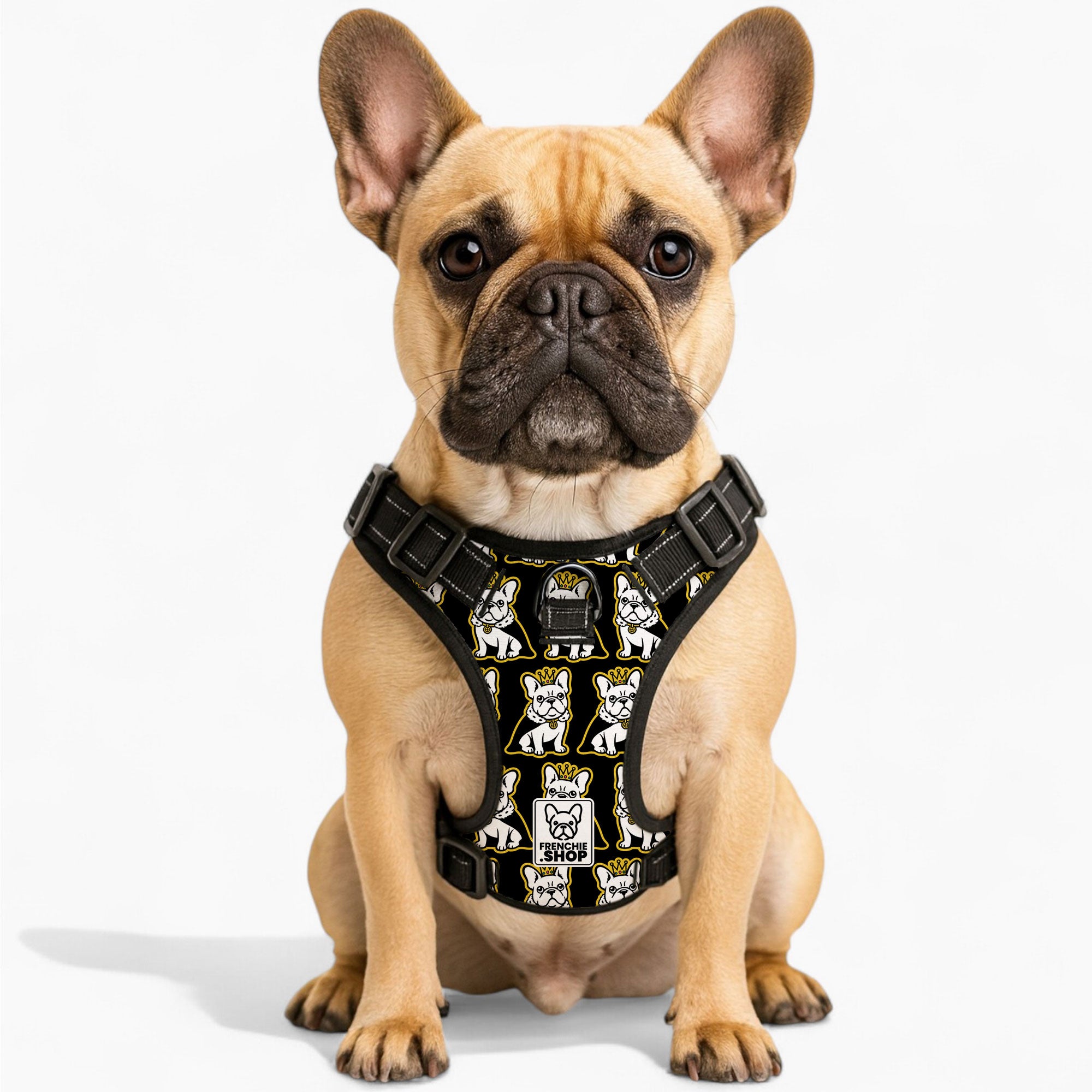 Ivonne - No-Pull French Bulldog Dog Harness