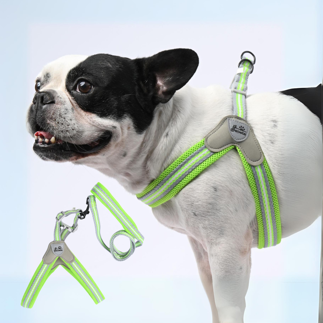French Bulldog Pawgrip No Pull Frenchie Harness With Leash Practical Dog Gear