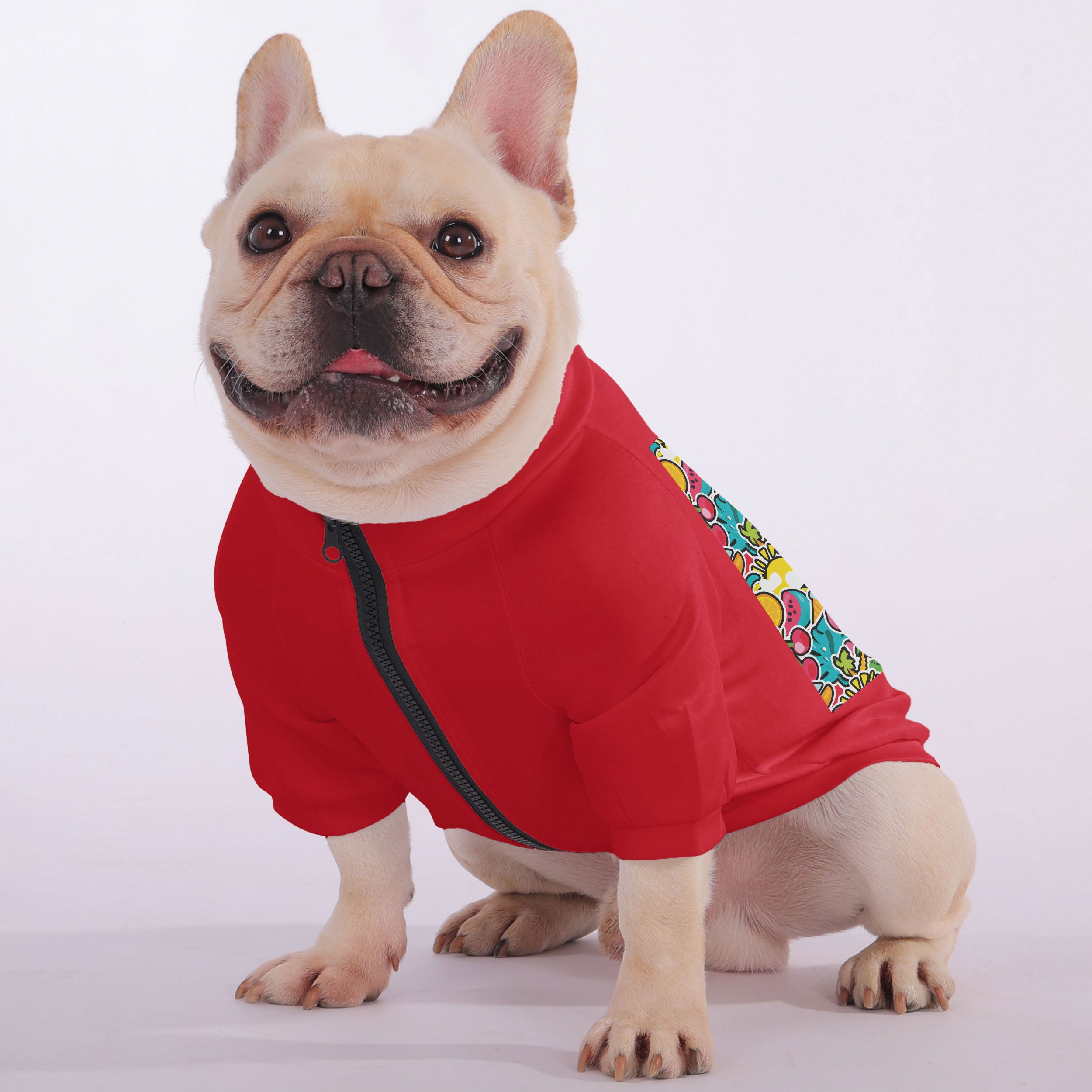 Street-Ready Apollo - Snuggly Zip-up Sweatshirt For French Bulldogs f...