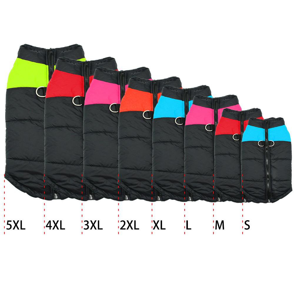 Vest Jacket For French Bulldog (cs020) Dog Supplies | Breed-optimized