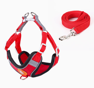 Indoor-Play French Bulldog Harness Leash Set – Adjustable Soft Vest N...